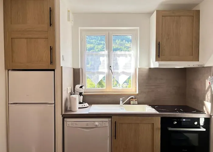 T3 Renove Avec Balcon, Vue Montagne Et Parking.